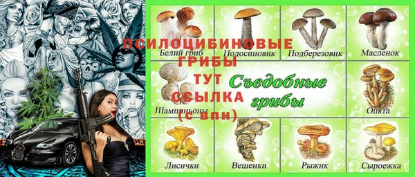 герыч Дмитров