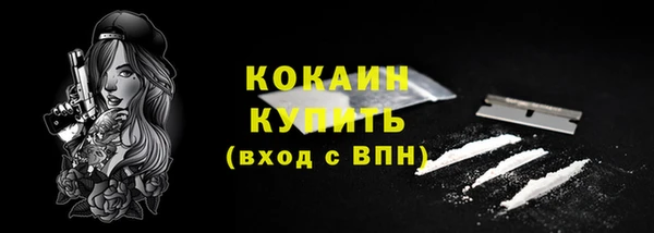 соль ск Пестово