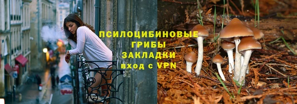 герыч Дмитров