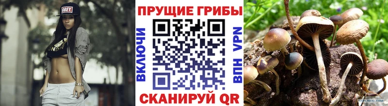 Галлюциногенные грибы Cubensis Певек